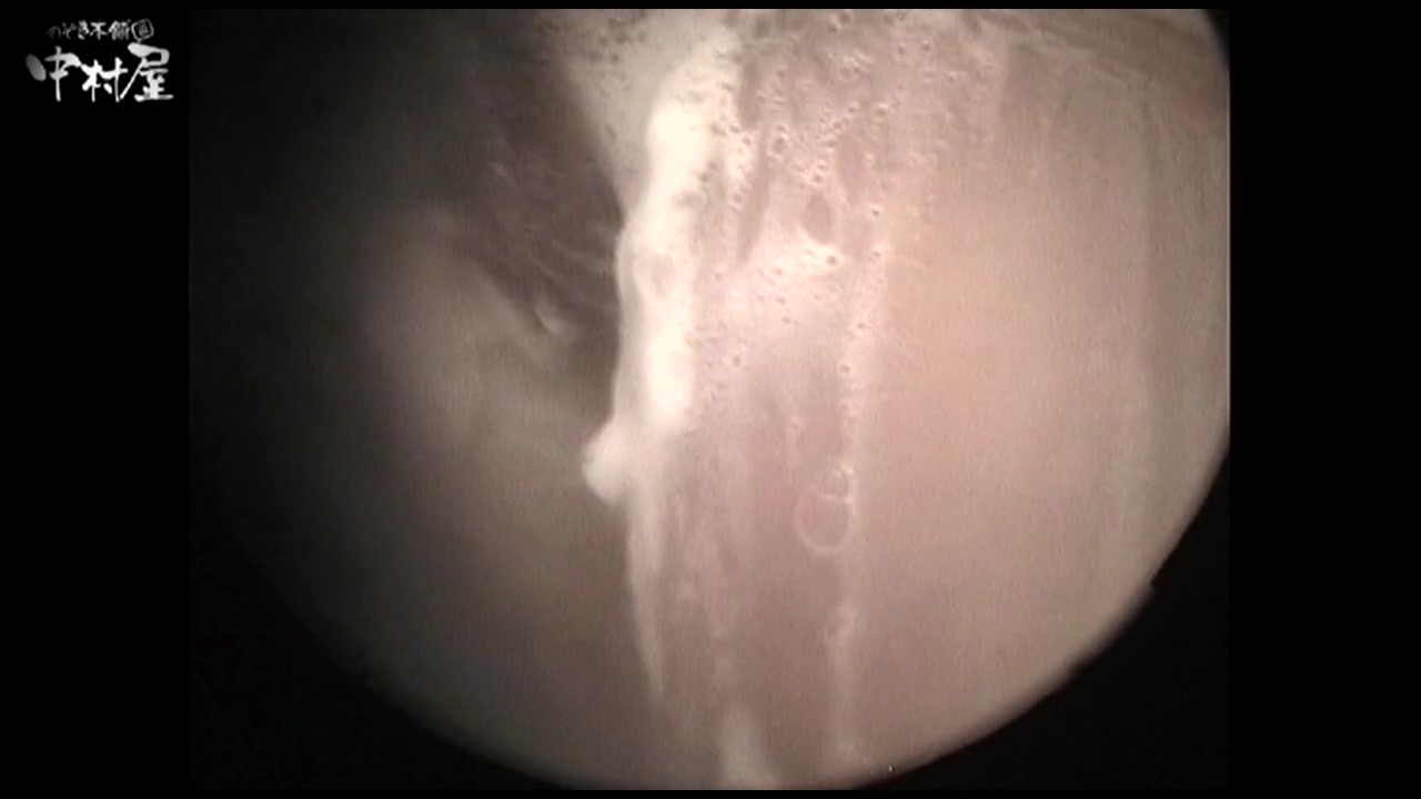 若いのに、発達したビラビラが割れ目からはみ出しています No.19 裏DVDサンプル画像