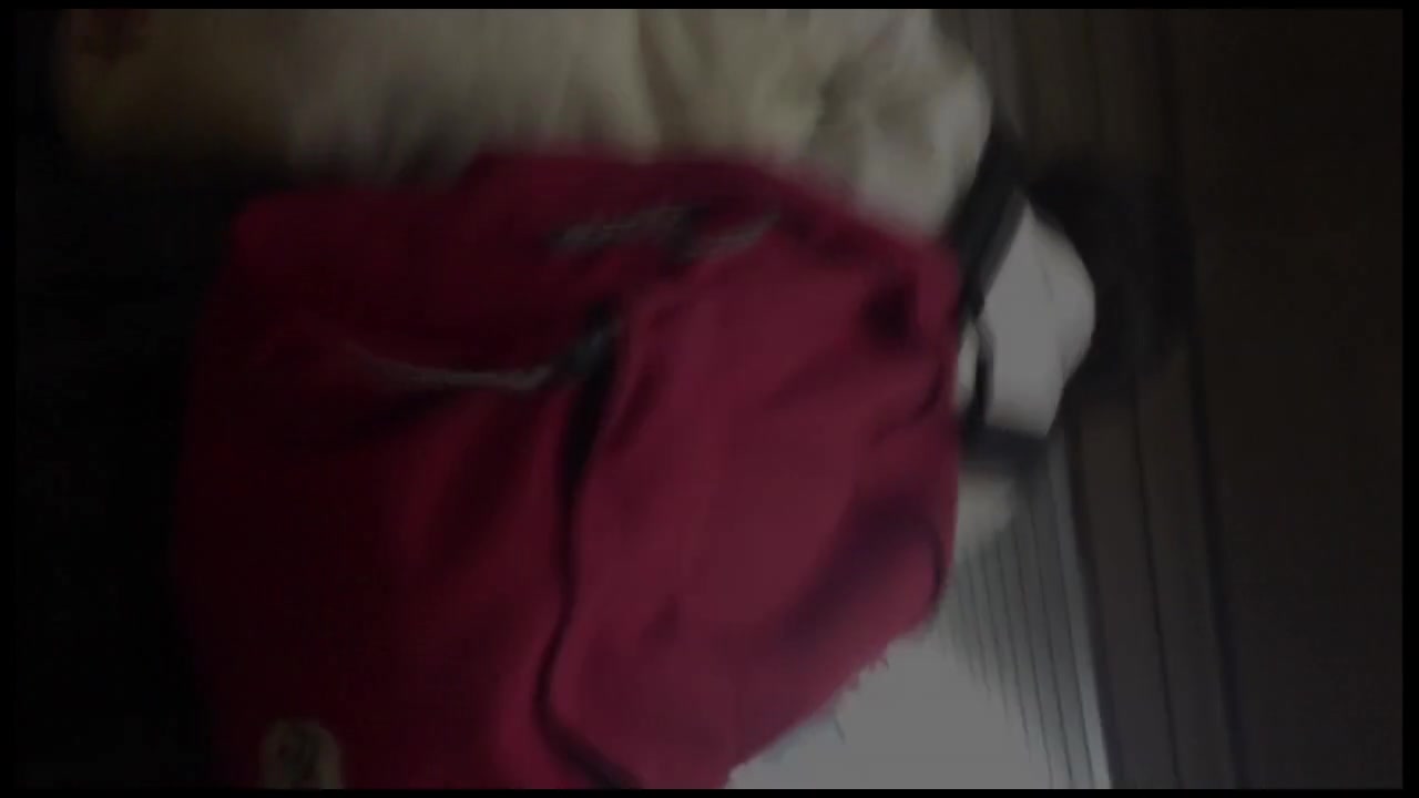 【追い撮り!!階段パンチラ】階段パンチラ Vol.08 裏DVDサンプル画像