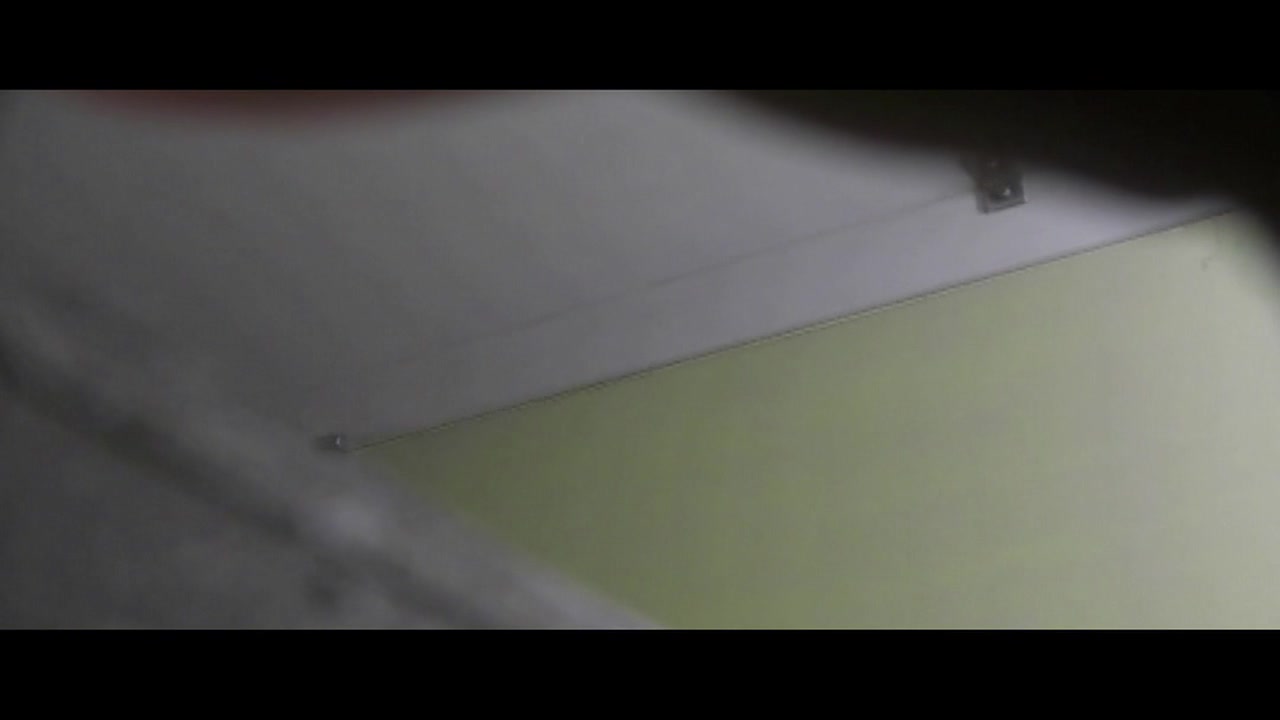 女達の羞恥便所盗撮 Vol.458 裏DVDサンプル画像