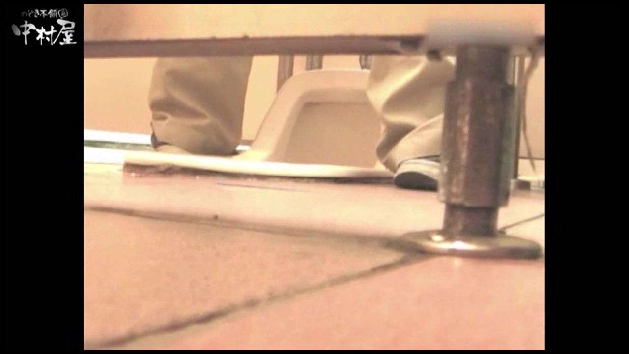 岩手県在住盗撮師盗撮記録 Vol.10 裏DVDサンプル画像