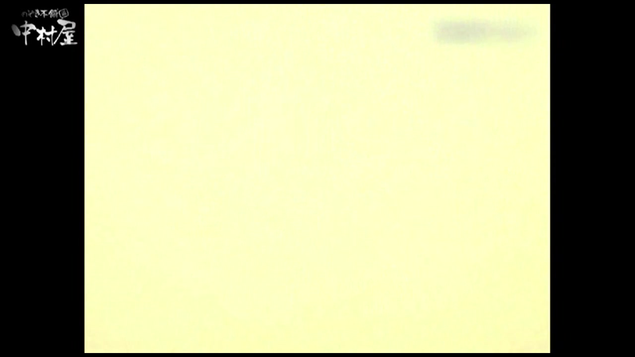 岩手県在住盗撮師盗撮記録 Vol.10 裏DVDサンプル画像