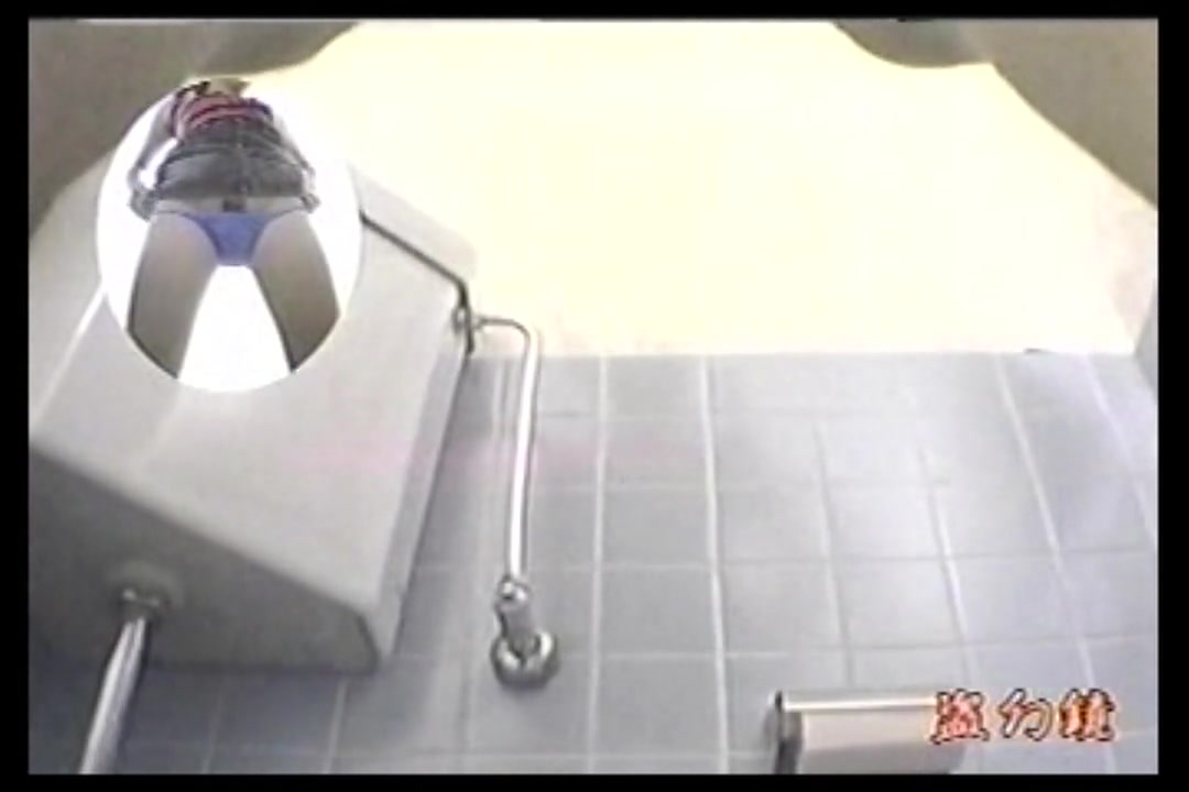 盗撮 伝説の和式トイレ 特別秘蔵版 サンプル画像