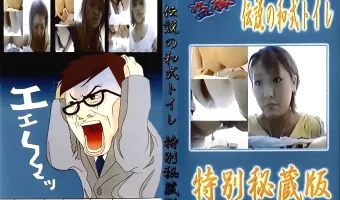 盗撮 伝説の和式トイレ 特別秘蔵版 - 無料エロ動画付き（サンプル動画）