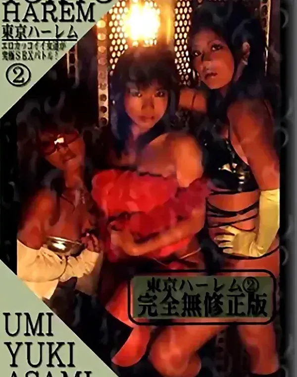 東京ハーレム TOKYO HAREM 2　ユミ　ユキ　アサミダウンロード