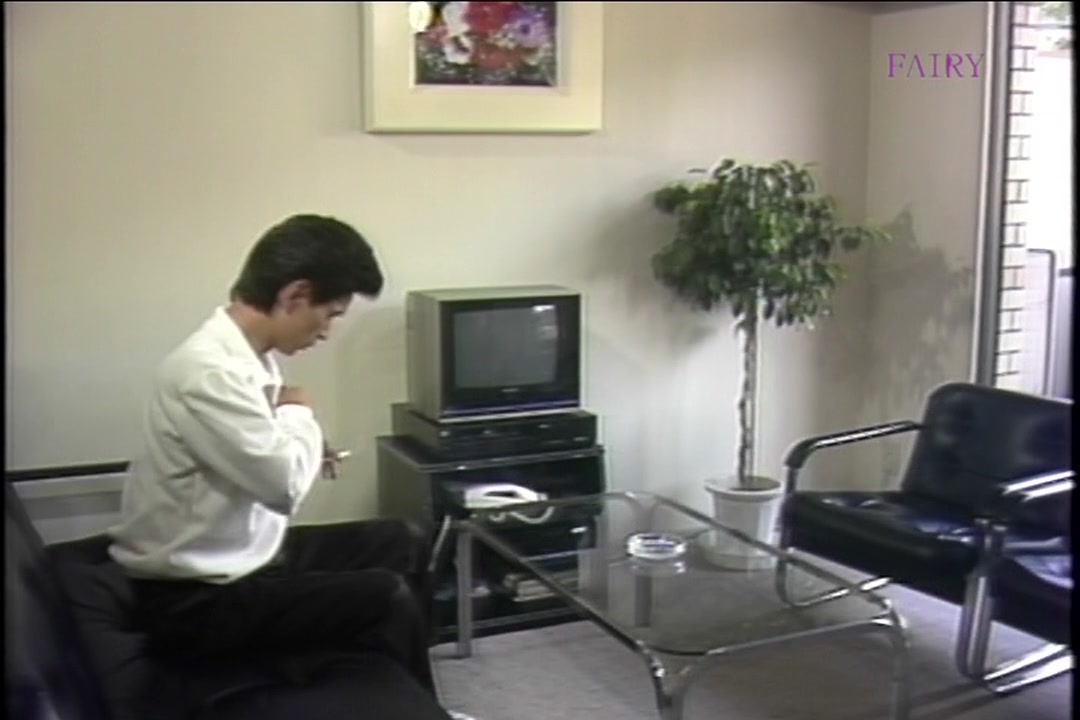 フェアリー メモリアル vol.33：広田マミ 高木未来 サンプル画像