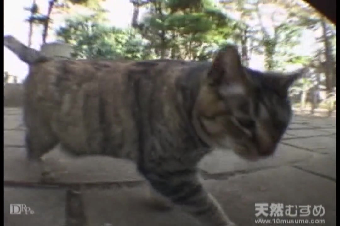 花と苺Jr Vol.693 りおん20歳 サンプル画像
