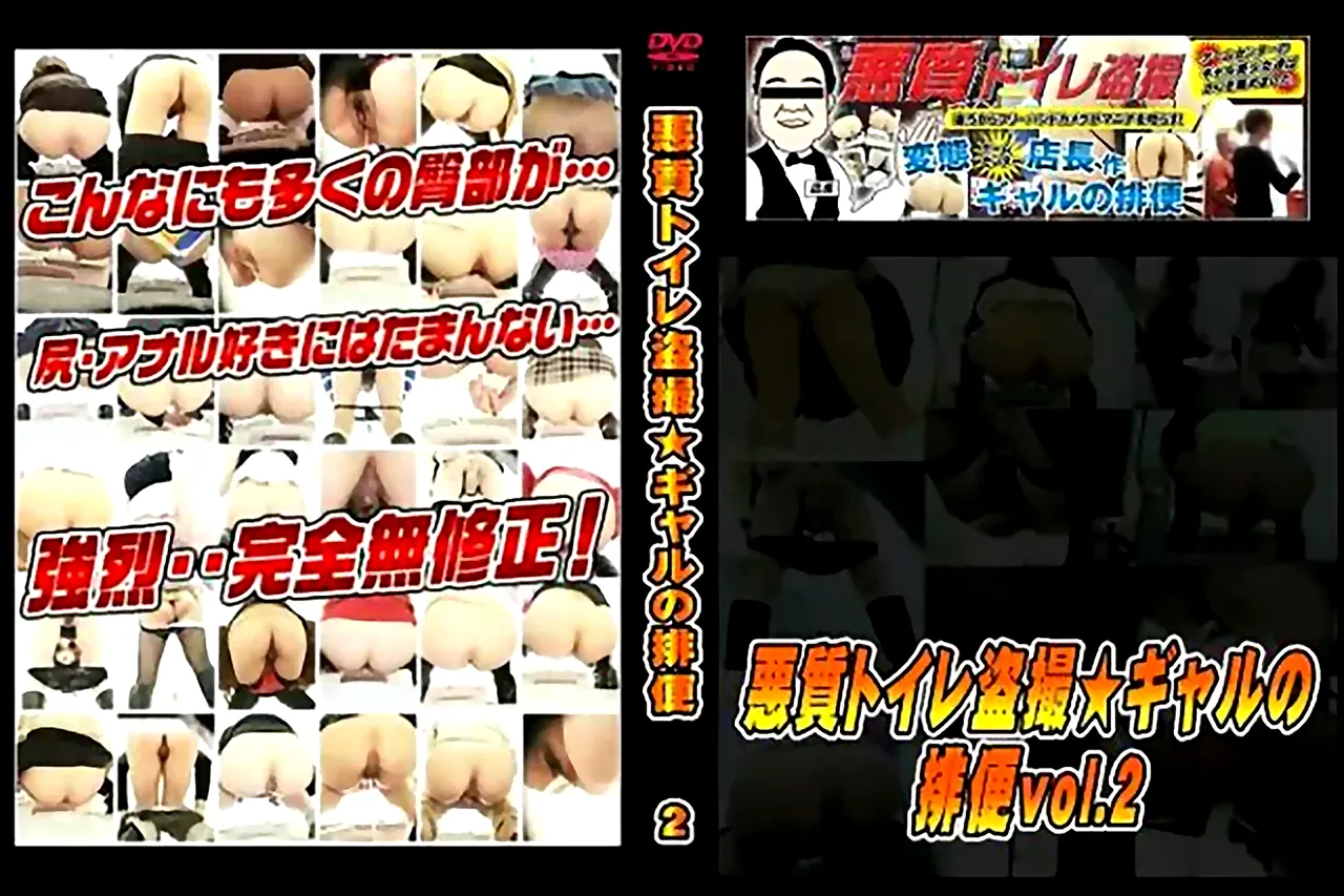 悪質トイレ盗撮★ギャルの排便 vol.2 - 無料エロ動画付き（サンプル動画）