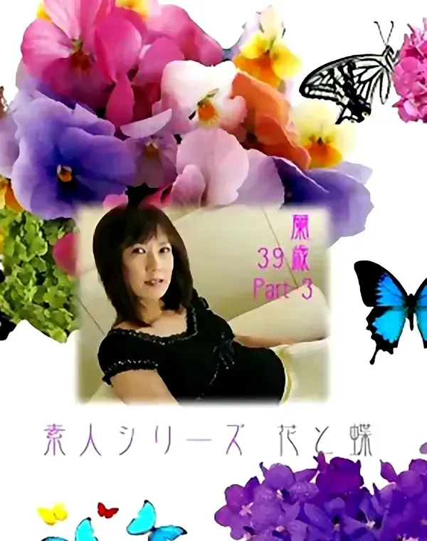 花と蝶 #159　蘭39歳ダウンロード