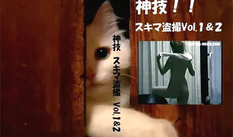 【不明】神技 スキマ盗撮 vol.1 vol.2