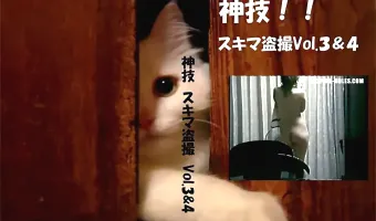 【不明】神技 スキマ盗撮 vol.3 vol.4