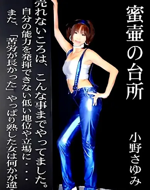 密壷の台所　小野さゆみダウンロード