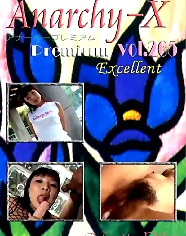 Anarchy-X Premium Excellent vol.265：理香ダウンロード