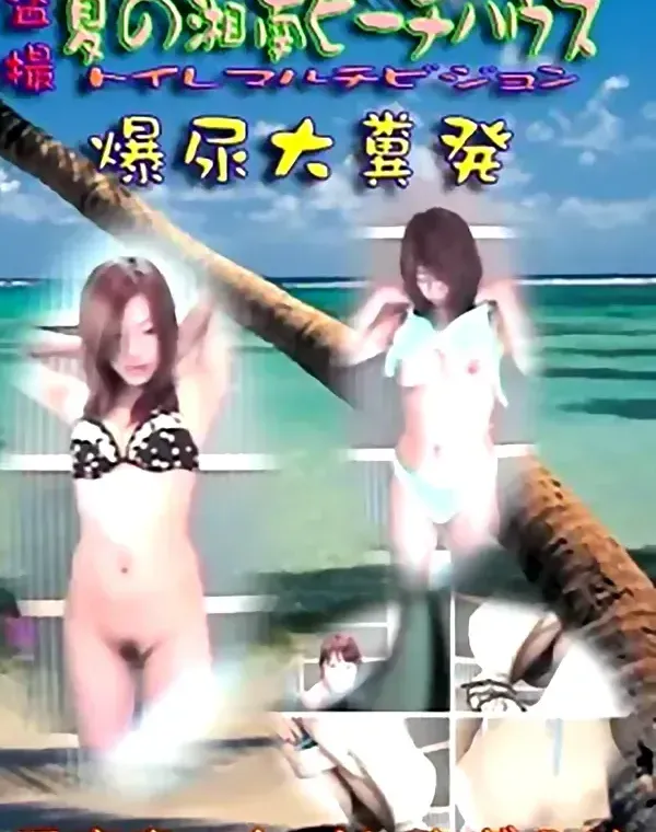 盗撮！！夏の湘南ビーチハウスダウンロード