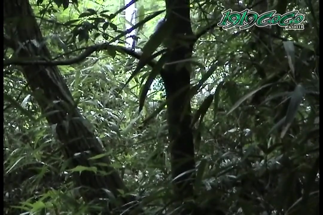 野糞 04 サンプル画像