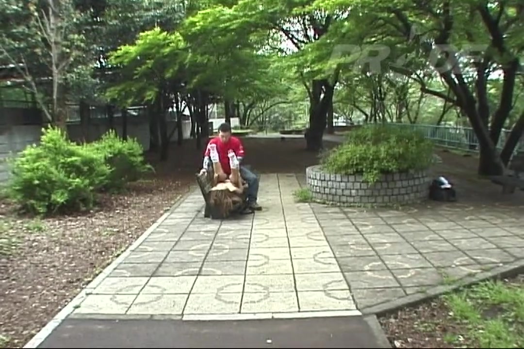 PRIDE 5 サンプル画像