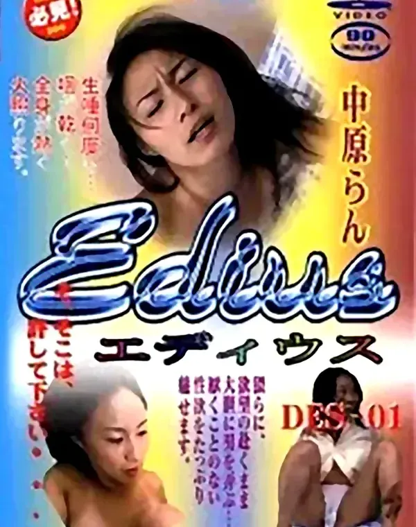エディウス vol.1 中原らんダウンロード