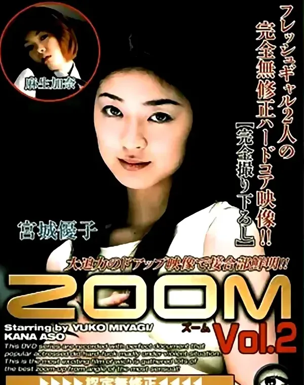 ZOOM vol.2ダウンロード