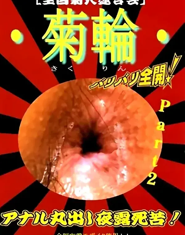 菊輪 Part2ダウンロード