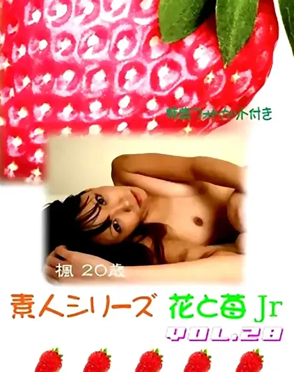 花と苺Jr vol.28：楓20歳ダウンロード