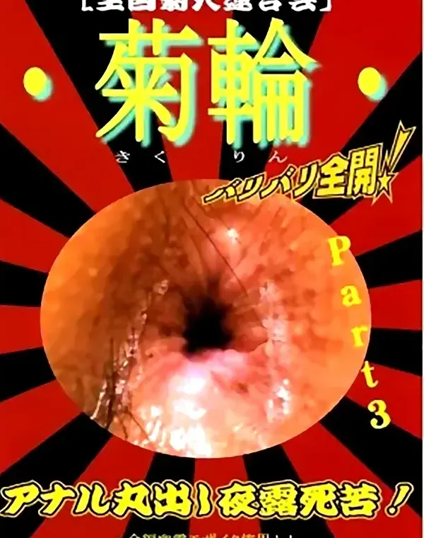 菊輪 Part3ダウンロード
