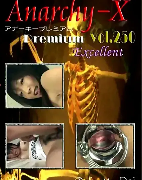 Anarchy-X Premium Excellent vol.250：れいダウンロード