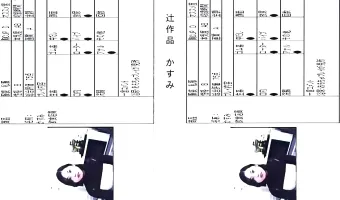【素人】辻作品　かすみ