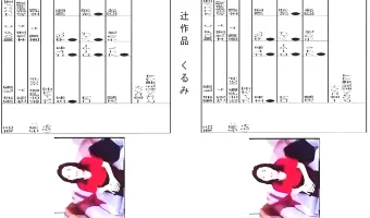 【素人】辻作品　くるみ