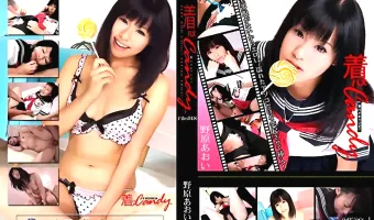 【野原あおい】着ハメキャンディ Ｆｉｌｅ.018 野原あおい