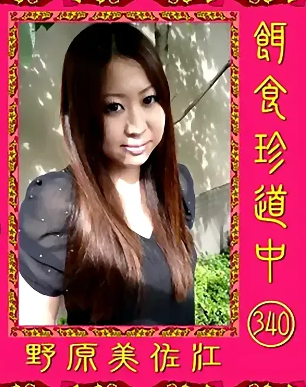 餌食珍道中 vol.340 野原美佐江ダウンロード