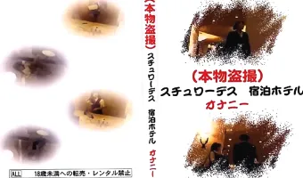 【多数】（本物盗撮）スチュワーデス 宿泊ホテル オナニー