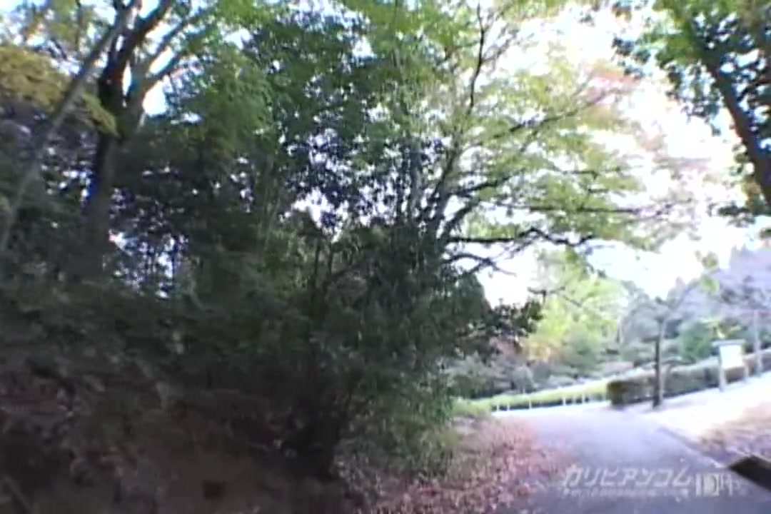 青姦某中央公園：エミリ サンプル画像