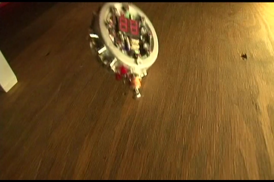 Time Fuck Bandits サンプル画像