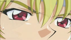 ELFEN LAID サンプル画像