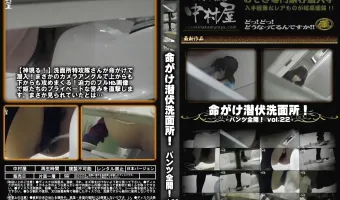 命がけ潜伏洗面所! パンツ全開! Vol.22