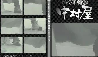 女子トイレ盗撮若い嬢編vol.13