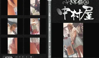 ハイビジョン盗撮!ショップ店員千人斬り!パンチラ編 vol.17