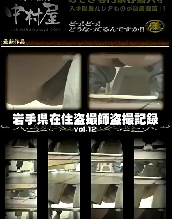 岩手県在住盗撮師盗撮記録 Vol.12ダウンロード
