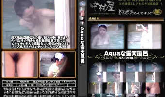 Aquaな露天風呂 Vol.290