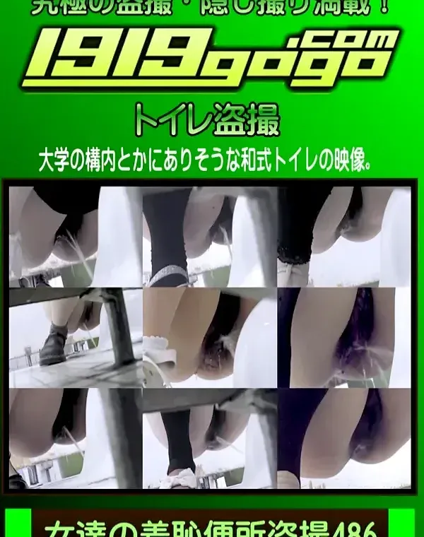 女達の羞恥便所盗撮 Vol.486ダウンロード
