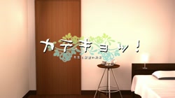 カテキョ サンプル画像