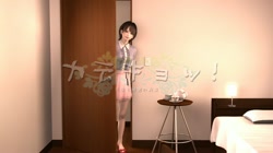 カテキョ サンプル画像