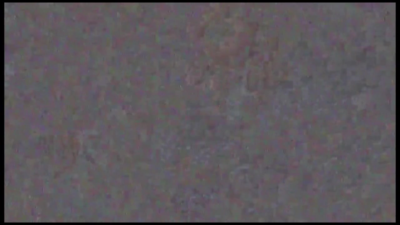 【12人収録】喉の奥まで咥えさせて射精したフェラ映像。※モロ見え(Disc-2) サンプル画像4
