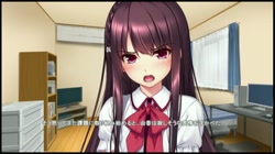 義妹快楽堕ち～義兄に無理やりハメられてから～ サンプル画像13