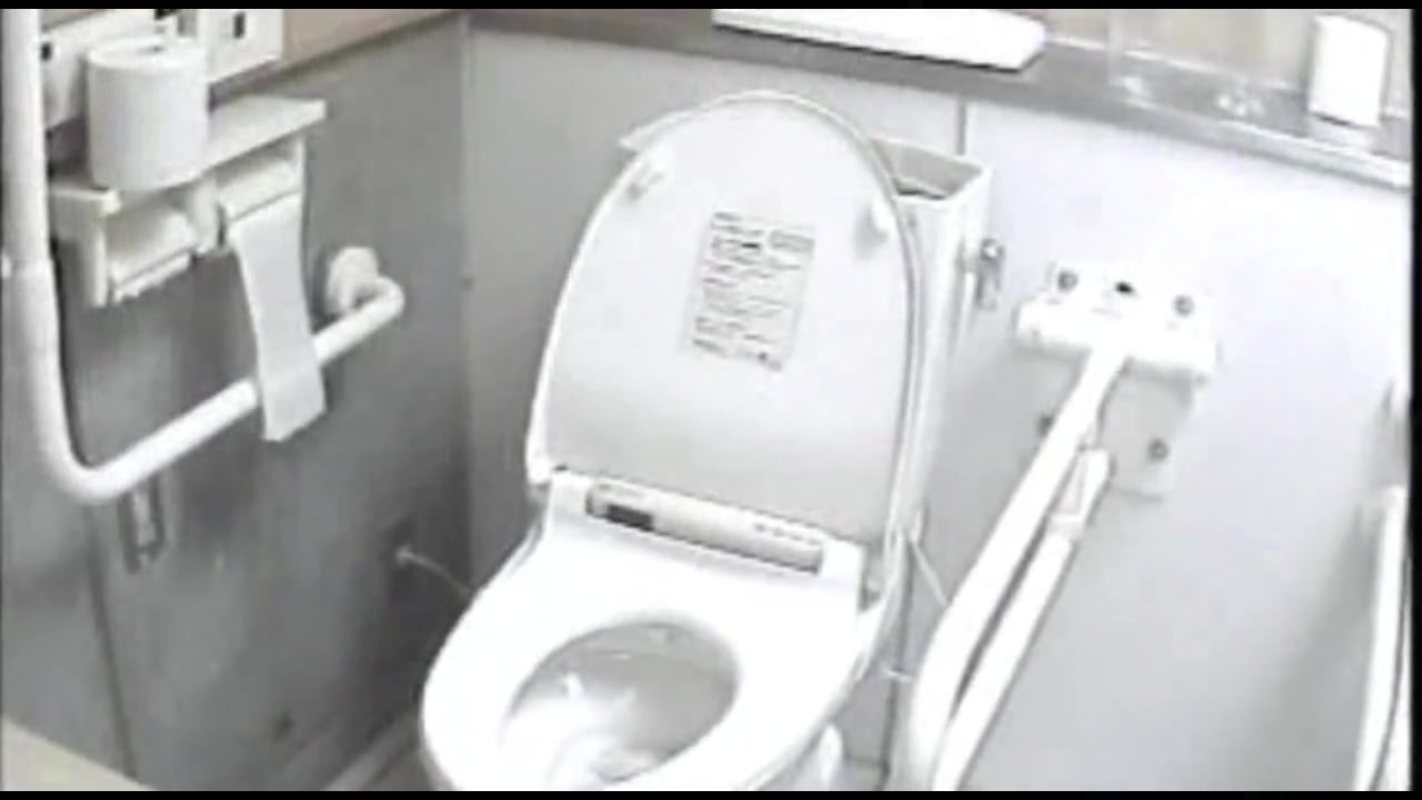 女子トイレ盗撮若い嬢編vol.03 サンプル画像