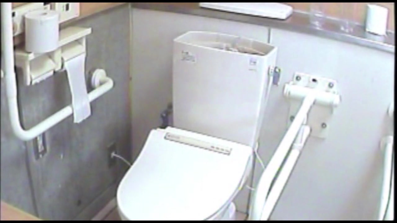 女子トイレ盗撮若い嬢編vol.03 サンプル画像