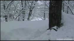 志摩伝説「人妻奴隷 雪因奴」 サンプル画像