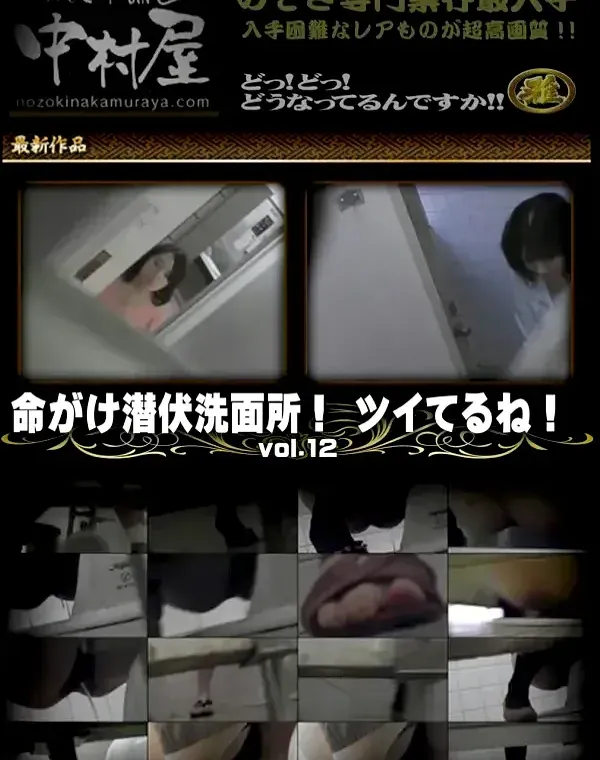 命がけ潜伏洗面所! ツイてるね! Vol.12ダウンロード