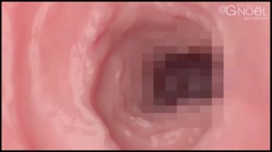 家の前を毎朝通るJ○宅にエッチなおもちゃを送ってみたら… (加工あり) サンプル画像