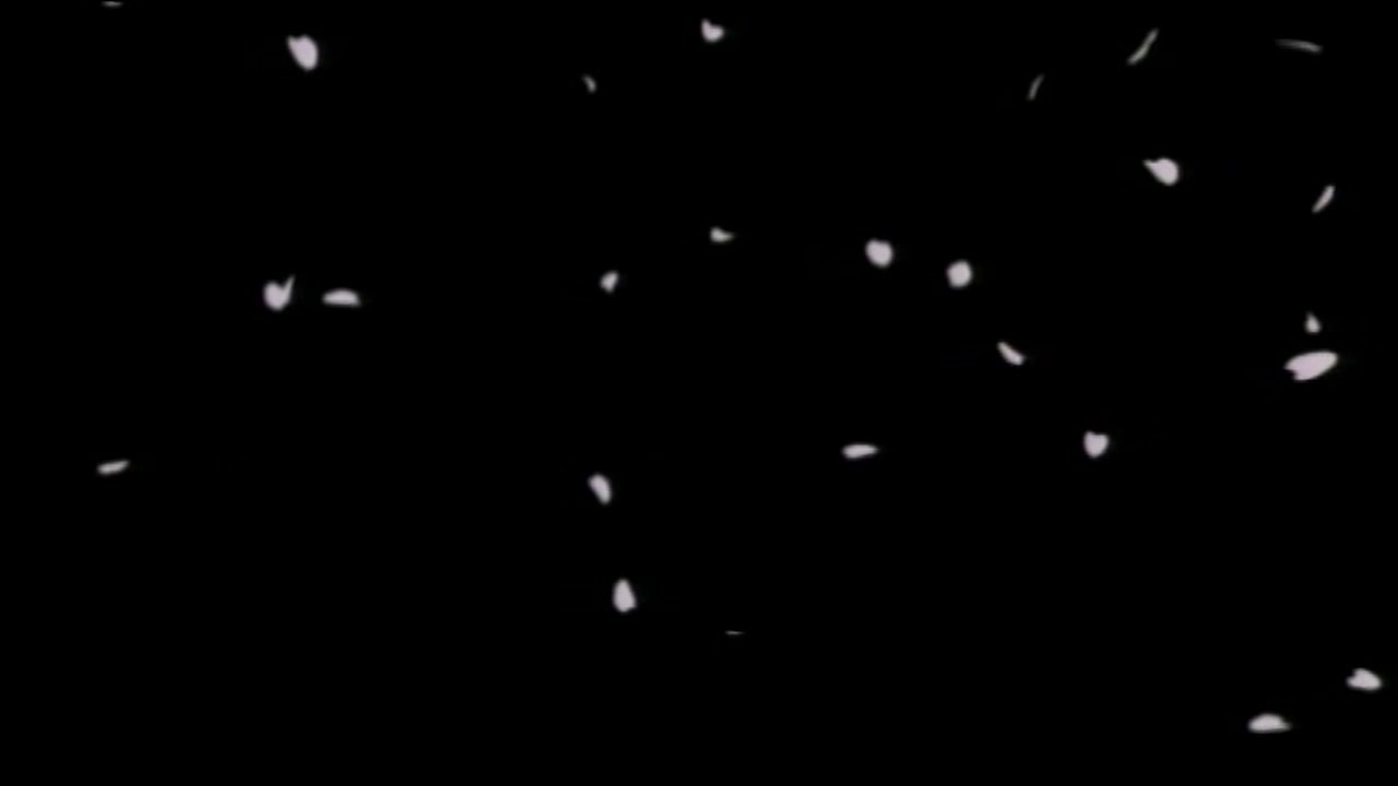 花と蛇 The Animation サンプル画像