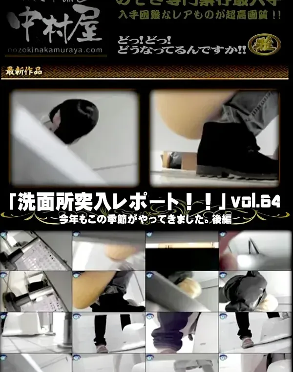 お銀さんの 洗面所突入レポート お銀 Vol.64 今年もこの季節がやってきました。 後編ダウンロード